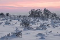 The frosty winter, code: J_100267
